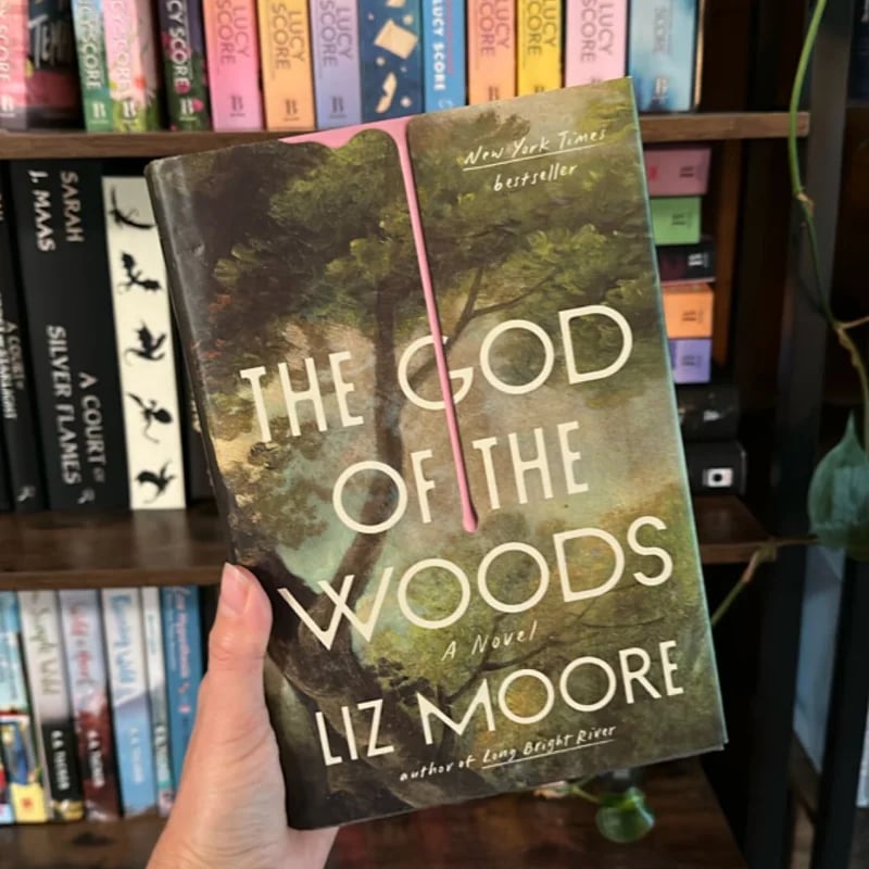 The God of the Woods Liz Moore